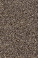 Ковролин AW Stainguard Harvest 42 фото 1 | FLOORDEALER